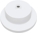 Ample Ceiling Rose